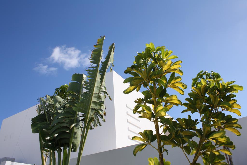 Villas De La Marina Playa Blanca  Eksteriør bilde
